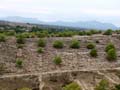 Calcita Discordancia de Villafranqueza. Lomas del Garbinet. Alicante