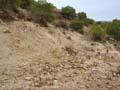 Calcita Discordancia de Villafranqueza. Lomas del Garbinet. Alicante