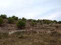 Calcita Discordancia de Villafranqueza. Lomas del Garbinet. Alicante