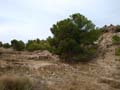 Calcita Discordancia de Villafranqueza. Lomas del Garbinet. Alicante