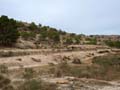 Calcita Discordancia de Villafranqueza. Lomas del Garbinet. Alicante