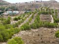 Calcita Discordancia de Villafranqueza. Lomas del Garbinet. Alicante