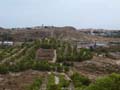 Calcita Discordancia de Villafranqueza. Lomas del Garbinet. Alicante