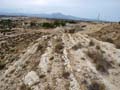 Calcita Discordancia de Villafranqueza. Lomas del Garbinet. Alicante