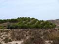 Calcita Discordancia de Villafranqueza. Lomas del Garbinet. Alicante