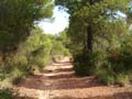 Rambla de los Rincones. Limite términos municipales de Yecla y Caudete