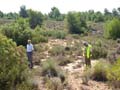 Rambla de los Rincones. Limite términos municipales de Yecla y Caudete