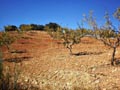 Las Cocotas. Tijola. Almería