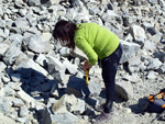 Grupo Mineralógico de Alicante.  Cantera de Ofitas de los Serranos y sierra de Albatera  Alicante  