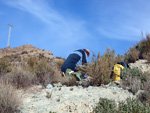 Grupo Mineralógico de Alicante. Cantera de Ofitas de los Serranos y sierra de Albatera  Alicante  