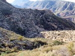 Grupo Mineralógico de Alicante. Cantera de Ofitas de los Serranos y sierra de Albatera  Alicante  