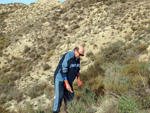 Grupo Mineralógico de Alicante. Cantera de Ofitas de los Serranos y sierra de Albatera  Alicante  