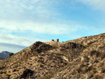 Grupo Mineralógico de Alicante. Cantera de Ofitas de los Serranos y sierra de Albatera  Alicante  