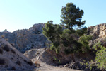 Grupo Mineralógico de Alicante.  Ojos. Murcia  