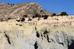 Grupo Mineralógico de Alicante.  Ópalo con Dendritas. Ojos. Murcia  