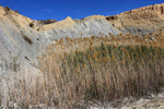 Grupo Mineralógico de Alicante. Ópalo Menilito. Embalse de Camarillas. Hellín. Albacete    