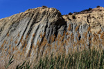 Grupo Mineralógico de Alicante. Ópalo Menilito. Embalse de Camarillas. Hellín. Albacete    