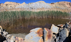 Grupo Mineralógico de Alicante. Explotación de Arcilla en Agost. Alicante   