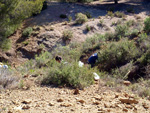 Grupo Mineralógico de Alicante. La Jabalina y Rambla Burete. Cehegín. Murcia   