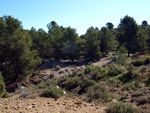 Grupo Mineralógico de Alicante. La Jabalina y Rambla Burete. Cehegín. Murcia   