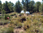 Grupo Mineralógico de Alicante. La Jabalina y Rambla Burete. Cehegín. Murcia   