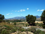 Grupo Mineralógico de Alicante. La Jabalina y Rambla Burete. Cehegín. Murcia   