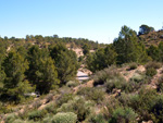 Grupo Mineralógico de Alicante. La Jabalina y Rambla Burete. Cehegín. Murcia   