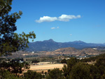 Grupo Mineralógico de Alicante. La Jabalina y Rambla Burete. Cehegín. Murcia   