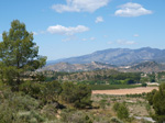 Grupo Mineralógico de Alicante. La Jabalina y Rambla Burete. Cehegín. Murcia   