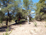 Grupo Mineralógico de Alicante. La Jabalina y Rambla Burete. Cehegín. Murcia   