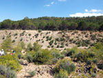 Grupo Mineralógico de Alicante.  Ojos. Murcia  