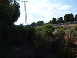 Grupo Mineralógico de Alicante. La Jabalina y Rambla Burete. Cehegín. Murcia   