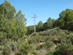 Grupo Mineralógico de Alicante. La Jabalina y Rambla Burete. Cehegín. Murcia   