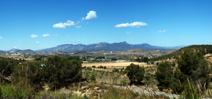 Grupo Mineralógico de Alicante. La Jabalina y Rambla Burete. Cehegín. Murcia   