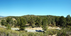 Grupo Mineralógico de Alicante. Barranco del Mulo.  Ojos. Murcia  