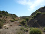 Grupo Mineralógico de Alicante. Cabezo Negro. Zeneta. Murcia  