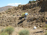 Grupo Mineralógico de Alicante. Cabezo Negro. Zeneta. Murcia  