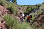 Grupo Mineralógico de Alicante.Los Yesares. Camporrobles. Valencia   