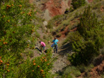 Grupo Mineralógico de Alicante. Los Yesares. Camporrobles. Valencia  