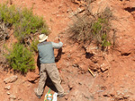 Grupo Mineralógico de Alicante. Los Yesares. Camporrobles. Valencia  