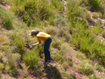 Grupo Mineralógico de Alicante. Los Yesares. Camporrobles. Valencia  