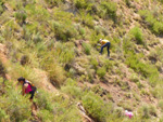 Grupo Mineralógico de Alicante. Los Yesares. Camporrobles. Valencia  