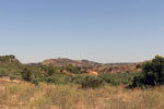 Grupo Mineralógico de Alicante. Trias de Chella. Valencia 