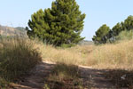 Grupo Mineralógico de Alicante. Trias de Chella. Valencia 