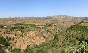 Grupo Mineralógico de Alicante. Trias de Chella. Valencia 