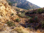 Grupo Mineralógico de Alicante. Cabezo de la Mina.Santomera. Murcia   
