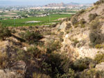 Grupo Mineralógico de Alicante. Cabezo de la Mina.Santomera. Murcia   