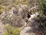 Grupo Mineralógico de Alicante. Cabezo de la Mina.Santomera. Murcia   