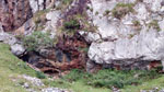 Grupo Mineralógico de Alicante. Minas de Buferrera. Cangas de Onis. Asturias 