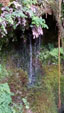 Grupo Mineralógico de Alicante. Minas de Buferrera. Cangas de Onis. Asturias 